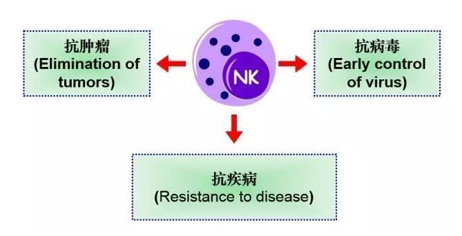 NKcell